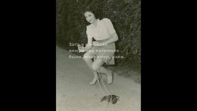 Учим Делать Искусно