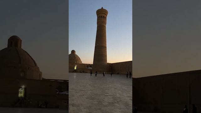 44df9cb78584c1bbc8c24fb18fb3f9d0