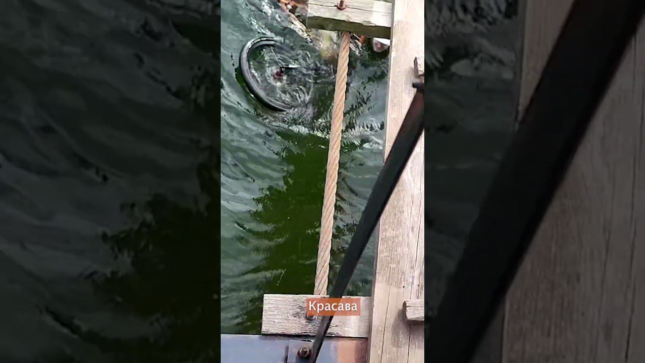 8a9271015d81d2fc2f75c36d7bfe979e