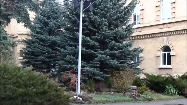 По центру Кисловодска