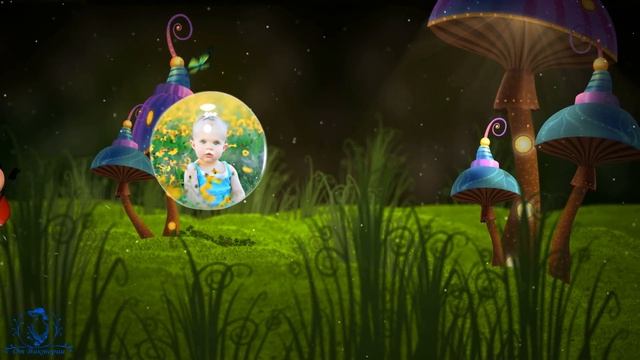 Сказочная полянка |  Fairy forest | Слайд-шоу на заказ | Проект ProShow Producer