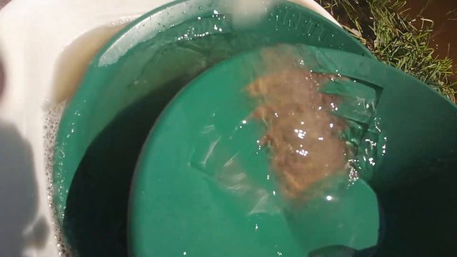 Канадский мох