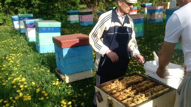 419b1541b82fef4e01c5aee1747b93e2