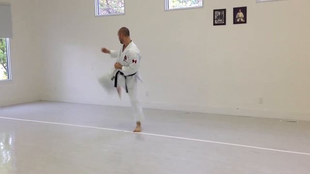 Kizami Mawashi Geri, Mawashi Geri | IKD Testing Syllabus Videos | Shotokan Karate 2013