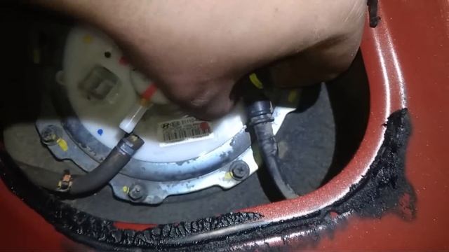 Чистота без границ