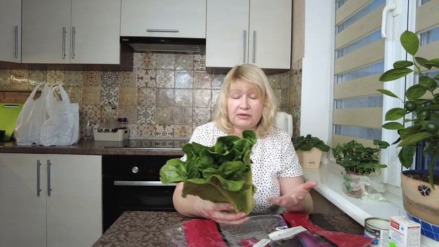 ЛЕЧИМ АРЧИБАЛЬДА/ Готовим гидрофильное масло/ Беларусь/Минск/ Ежедневный влог