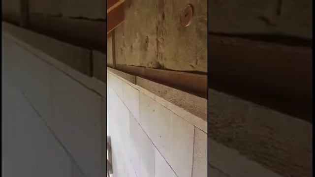 11315b44912a3e9d67f41d1b4192794c