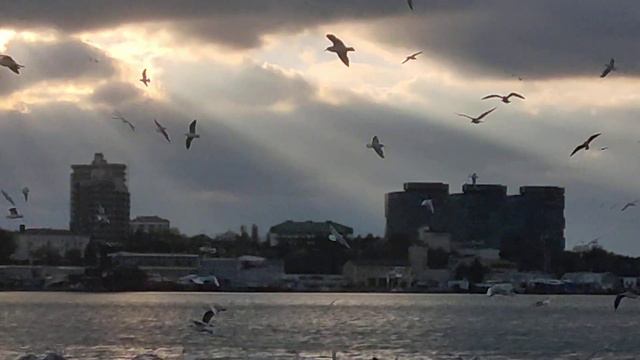 7de1937c559d47f388e9807e555c0c94