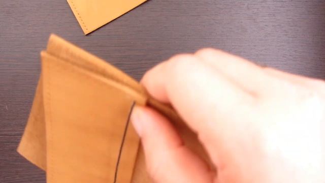 Обложка на паспорт  ВАРАН