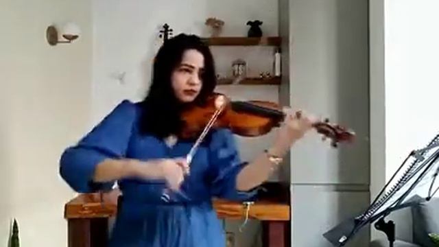 Violino Artesanal Cópia Stradivari Kreutzer 1731