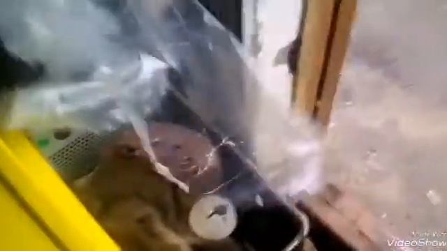 Мастерская чистого воздуха