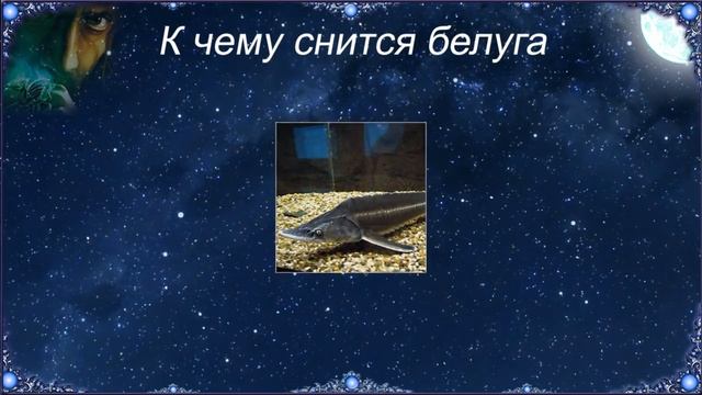 89040662eb5640351ed3df9207bfa654