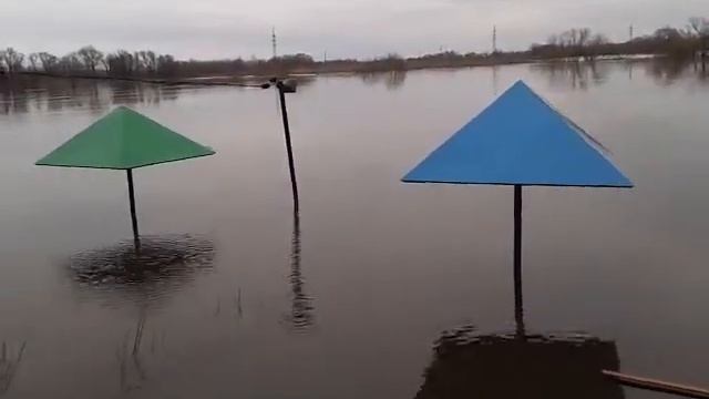 3dd00bce3ad992d23705bb466b561c67