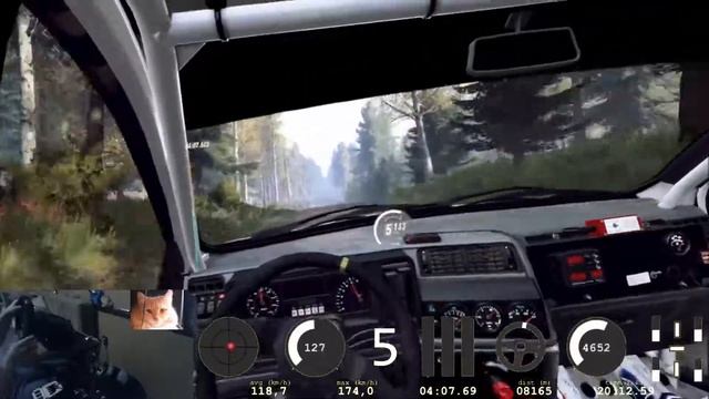 Dirt Rally 2.0 / Finland / Ford Cosworth RS500 (H3 RWD)