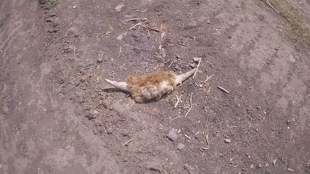 Настоящий КэшбЫк