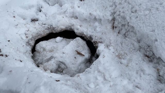 Рыбалка на комбаины!Поставил на лещаа поймал Налима!Ночевка в лесной избе!