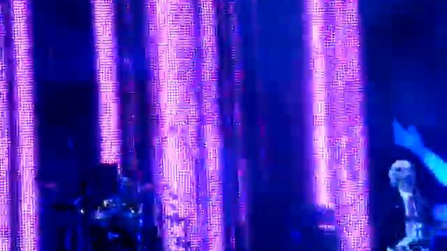 ПИКНИК_ФИОЛЕТОВО_ЧЕРНЫЙ_06.10.10