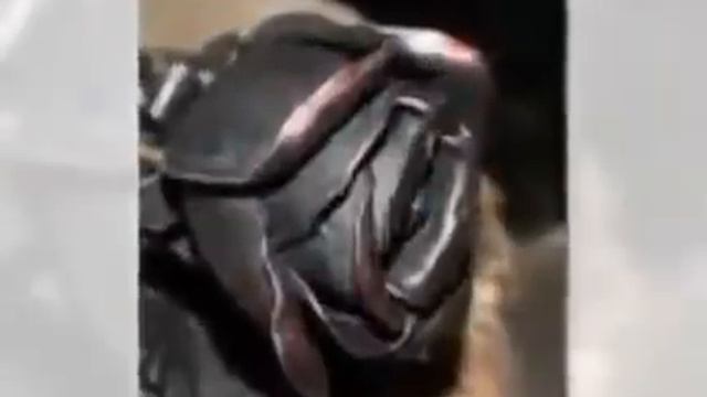 03c357b3b3a0a1a699cc57222be328b1