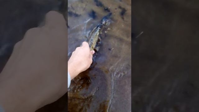 5c60dd613497b8fbf54a1bb6456e5101