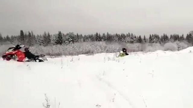 SLED TRICKS STAR | Евгений Беляев, г.Сыктывкар