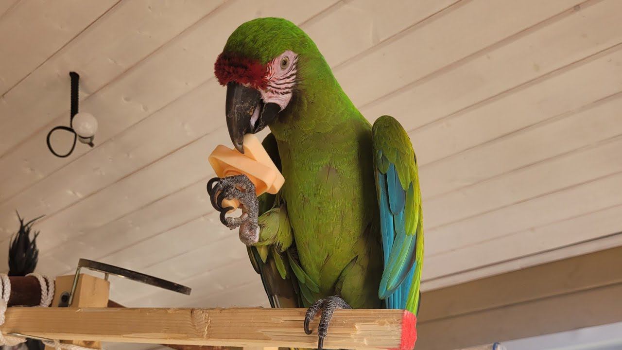 Db0be9a0cddb0df8da0c5fb8540b3e4c