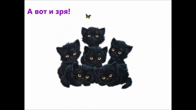 Приветик,я чёрный котик.