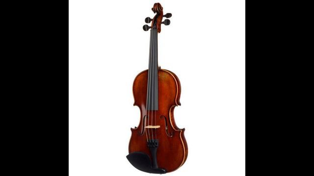 Скрипка. автор исполнитель Эдуард Данилов стихи Глеб Горбовский. аранжировка Павел Оборин