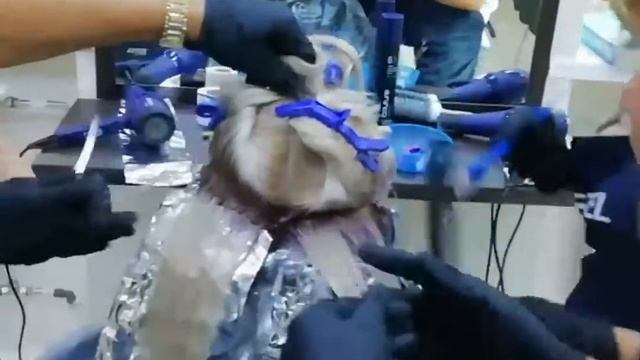 Мастер-класс 