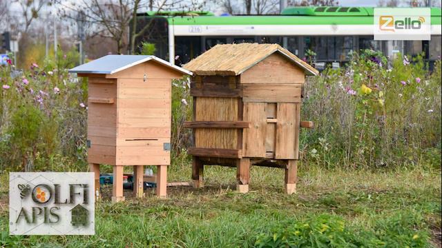 18.05.20 г. Z-рация, канал 