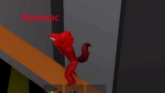 Multicoloured Cats (Film Netflix HD) Official Trailer