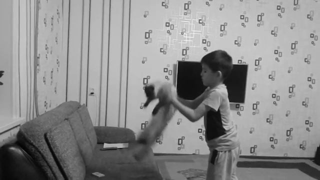 52bacbcdee6be278e6520ef78b3778ed