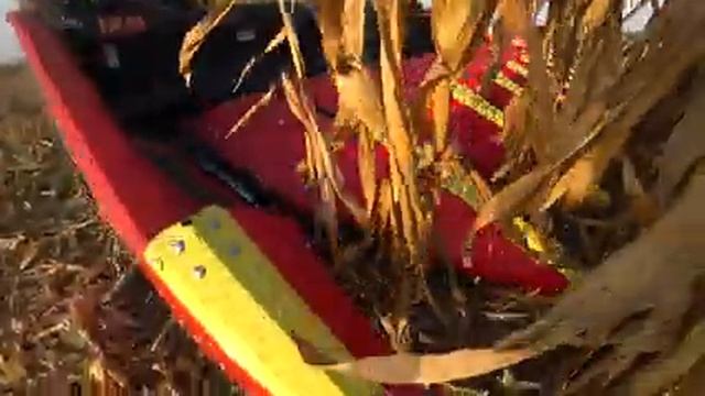 Fbac3a772ba05b420a15cc35d6e7c983