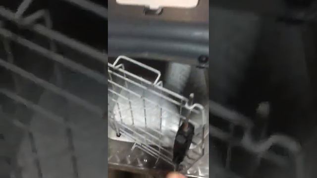 Лора. щенок Ланы. Едет в Санкт-Петербурге, в новую семью