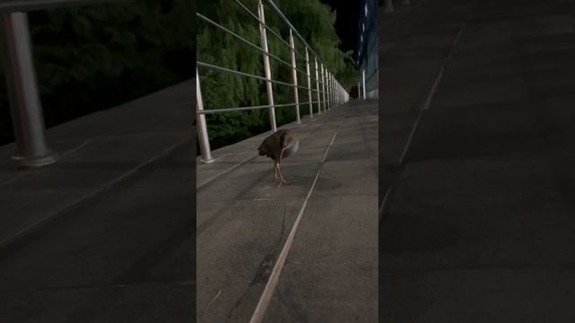 Спит или заболел? ?