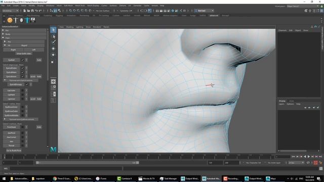 Demonstration47_ Asymmetrical FaceSetup.mp4