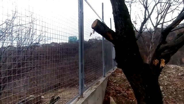 19002f9ffc12d31a1f8721646afca2f6