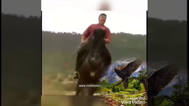 Песня  Алания