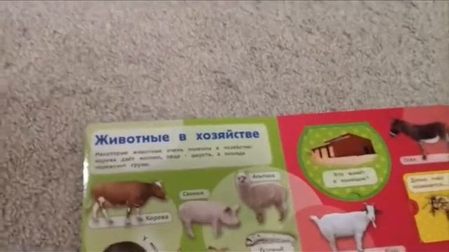 Книга с вырубкой Домашние животные Росмэн (Rosman)