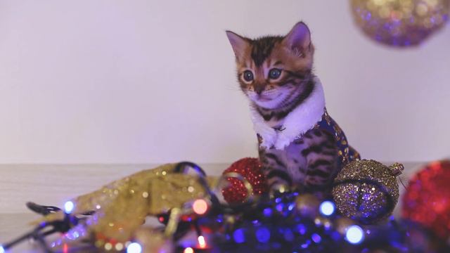 Alice  - Happy New Year