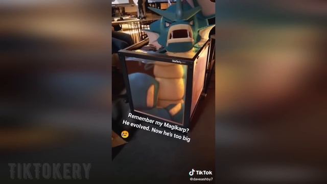 Cute TikTok Pokemon Compilations😍🐱| Pokemon Go Sinnoh Throwback