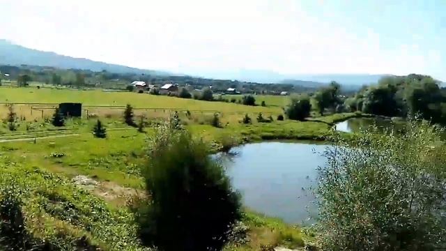 Золотая Рыбка в Псебае