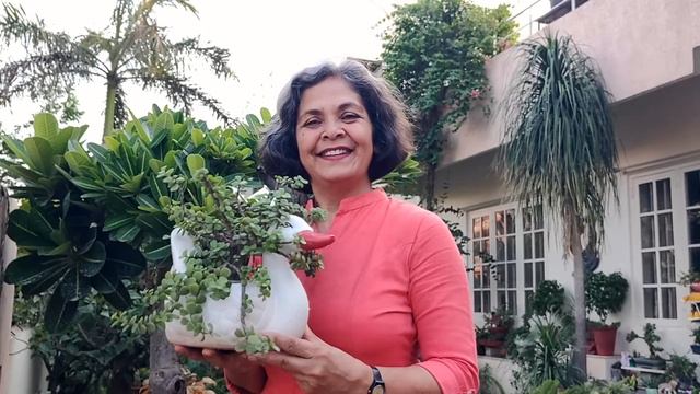 E86e2abe27be34610b788e5ea7a73ec0