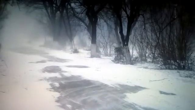 Звук вьюги Звуки природы