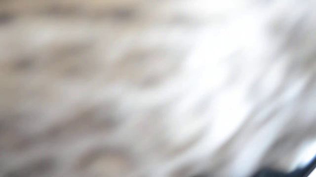 E33bb19db662f6a2dd84b82ccc08831b