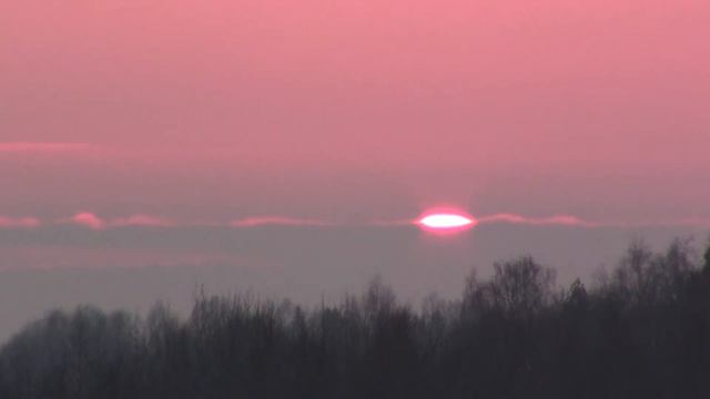 Солнечные губки.