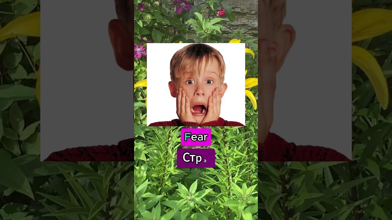 9e3f485cf1af8aa3b43d7088f749b24f