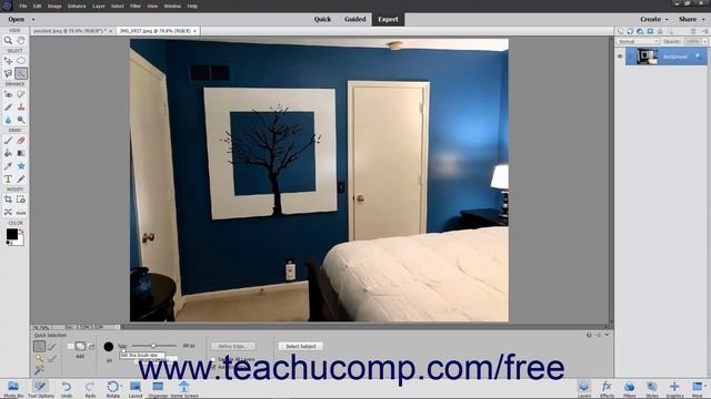 Learn How To Use The Quick Selection Tool In Adobe Photoshop Elements 2022: A Training Tutorial