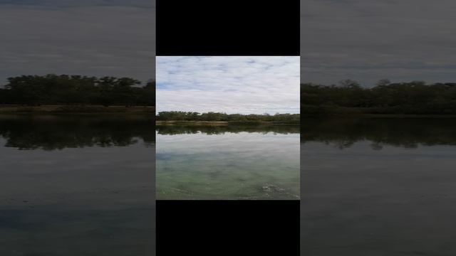 Станислав Морозов/красный сын