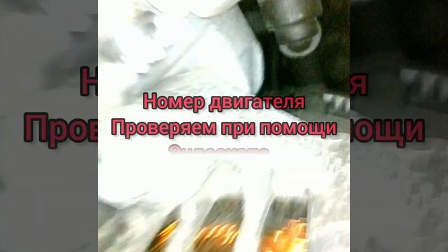 Восхитительные движения