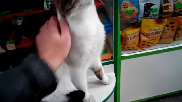 A8049040aefb748094727052169e0b69